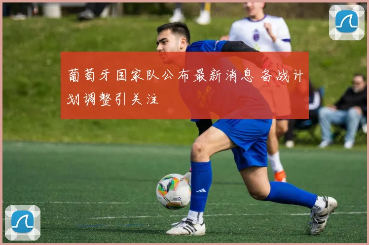 葡萄牙国家队公布最新消息 备战计划调整引关注