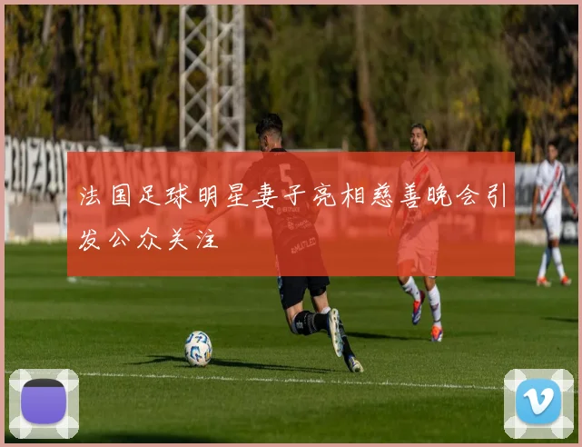 法国足球明星妻子亮相慈善晚会引发公众关注