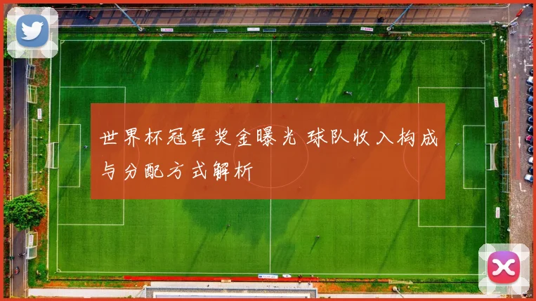 世界杯冠军奖金曝光 球队收入构成与分配方式解析