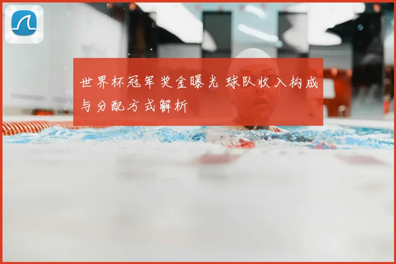 世界杯冠军奖金曝光 球队收入构成与分配方式解析