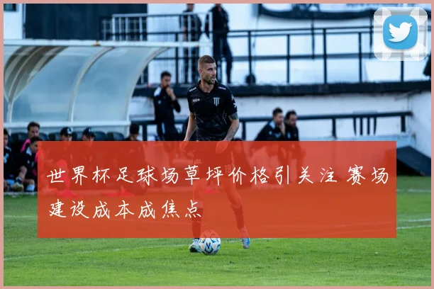 世界杯足球场草坪价格引关注 赛场建设成本成焦点