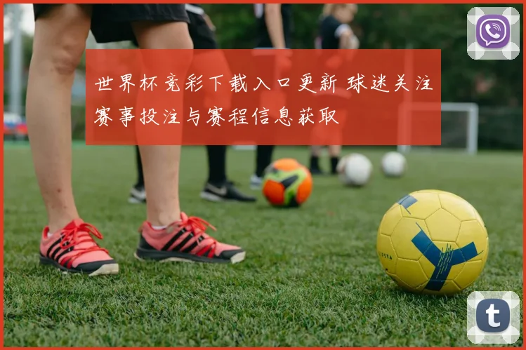 世界杯竞彩下载入口更新 球迷关注赛事投注与赛程信息获取